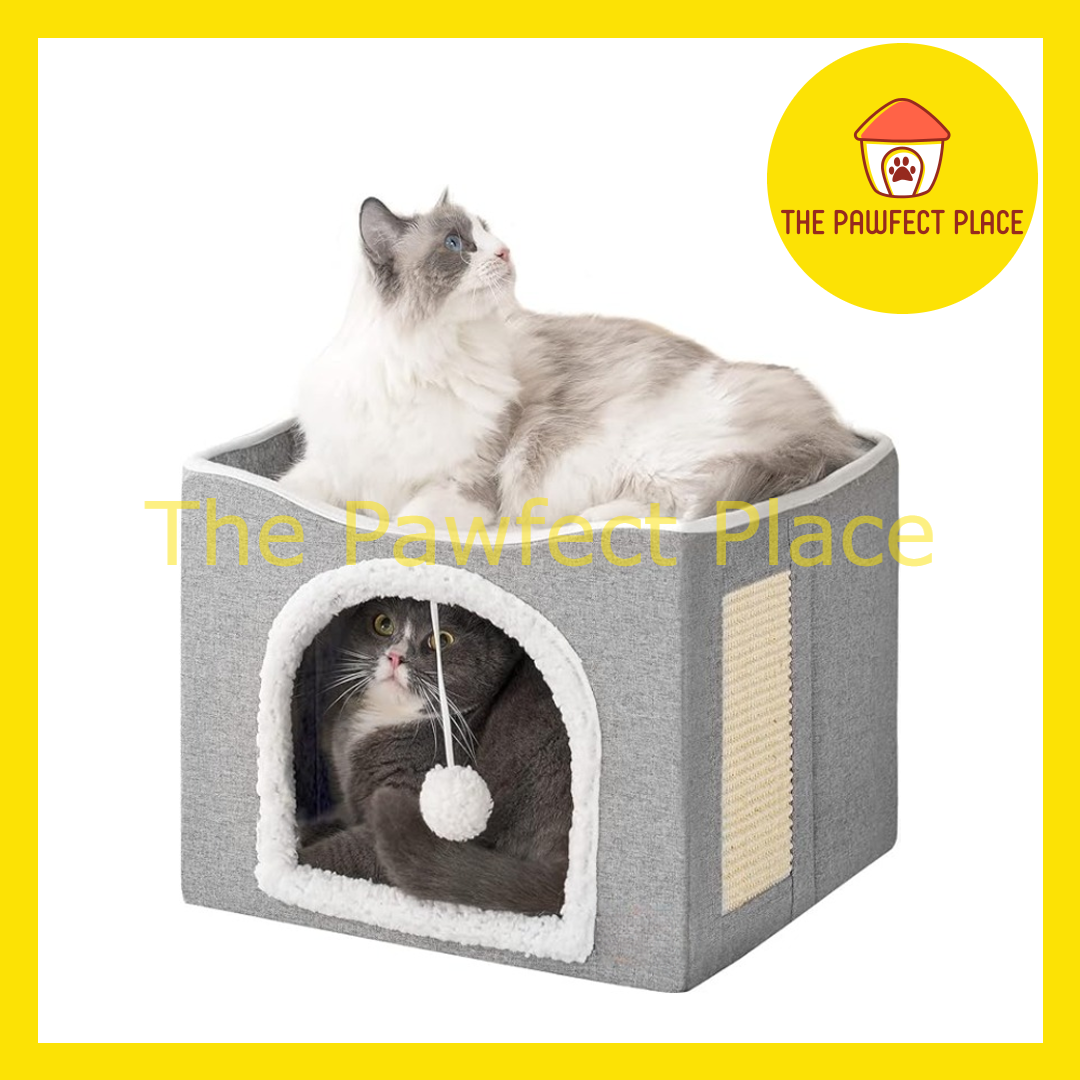 Double cat bed online