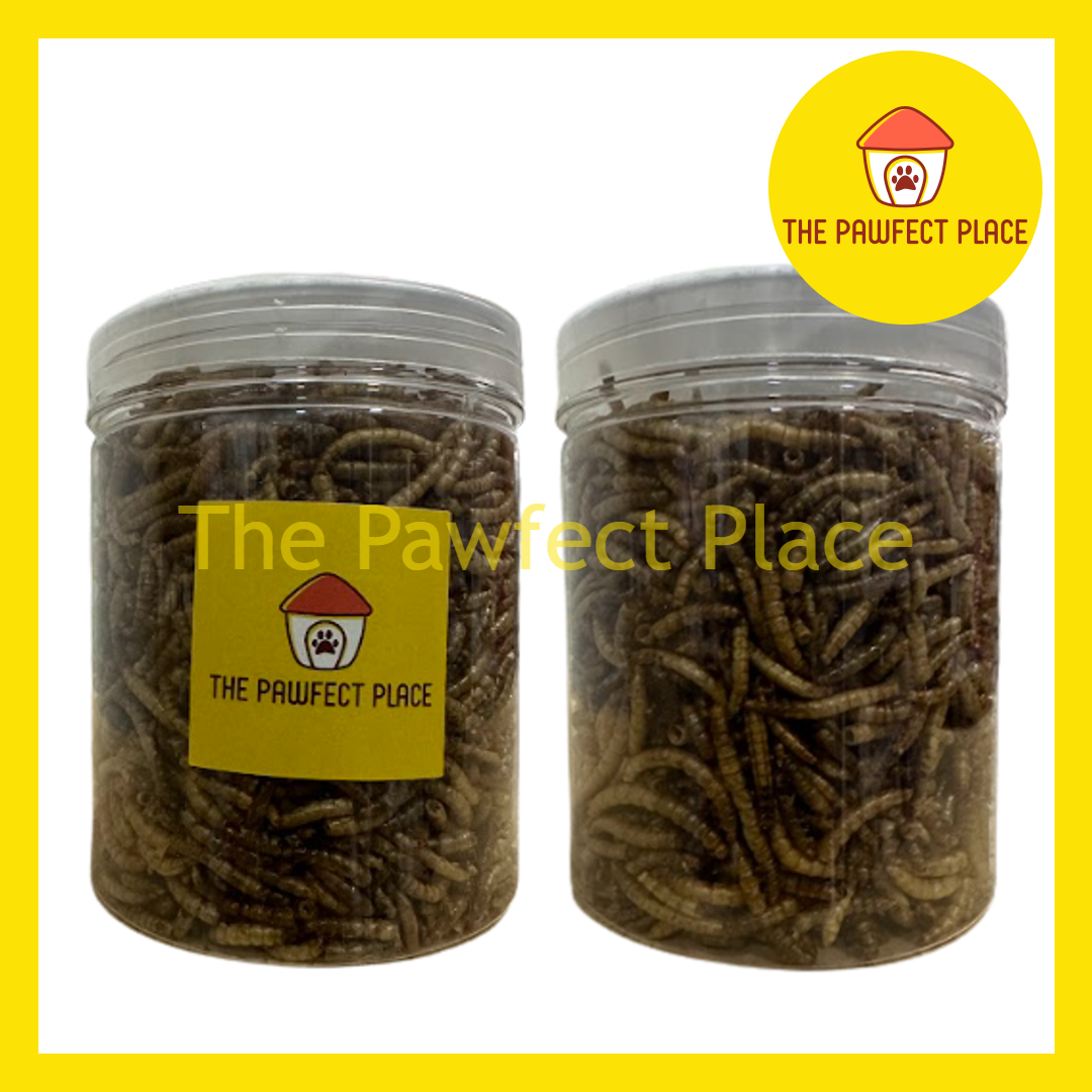 100g Dried Mealworm Treat Food Turtle Hamster Hedgehog Sugar Glider Parrots Bird Chicken Kura Penyu Makanan