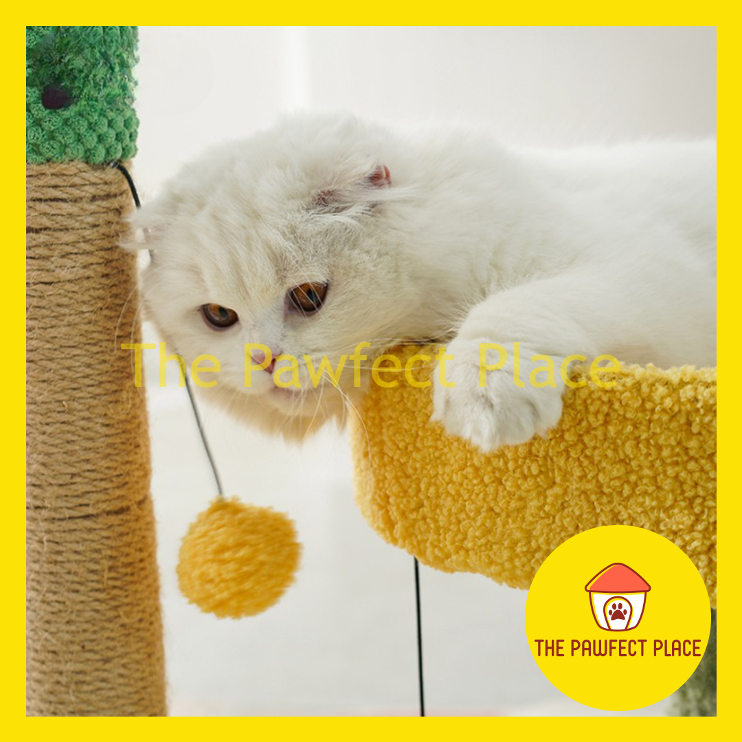 67cm Cute Green Cactus Cat Tree Tower with Scratching Post Climbing Stand with Dangling Ball