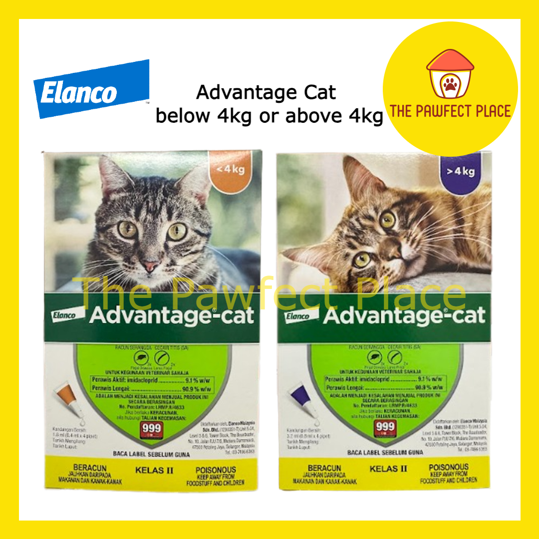 Bayer Advantage Cat Spot On Flea Treament Ubat Kutu Kucing Elanco