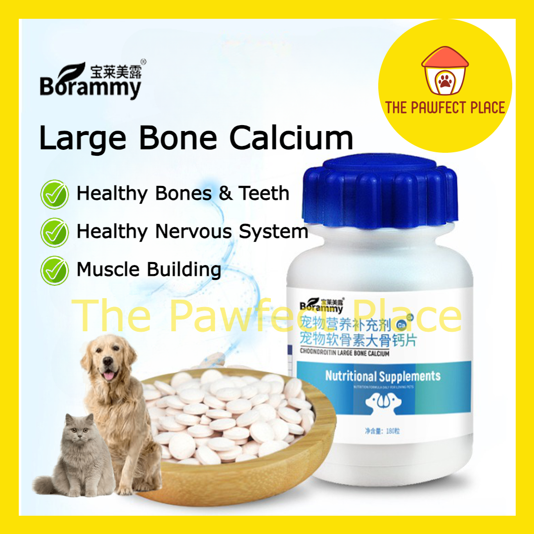 Bone builder 2024 supplements for dogs