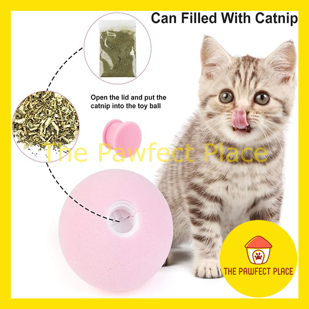 Cat Ball Toy With Animal Sound When Touch Interactive Battery Toy Kitten Toy Cricket Bird Frog EVA Catnip