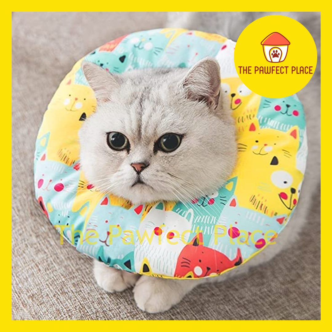 Pet Elizabeth Collar XXS-L Adjustable Waterproof Neck Soft Cotton Cone E-Collar Protection