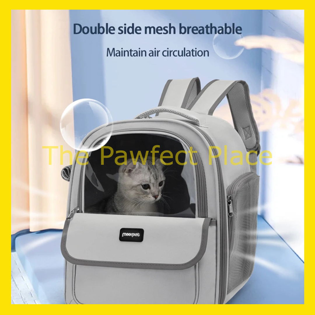 Pet Backpack Carrier Breathable Transparent Carrier for Cat Dog Small Pets Clear Foldable Cat Backpack for Travel