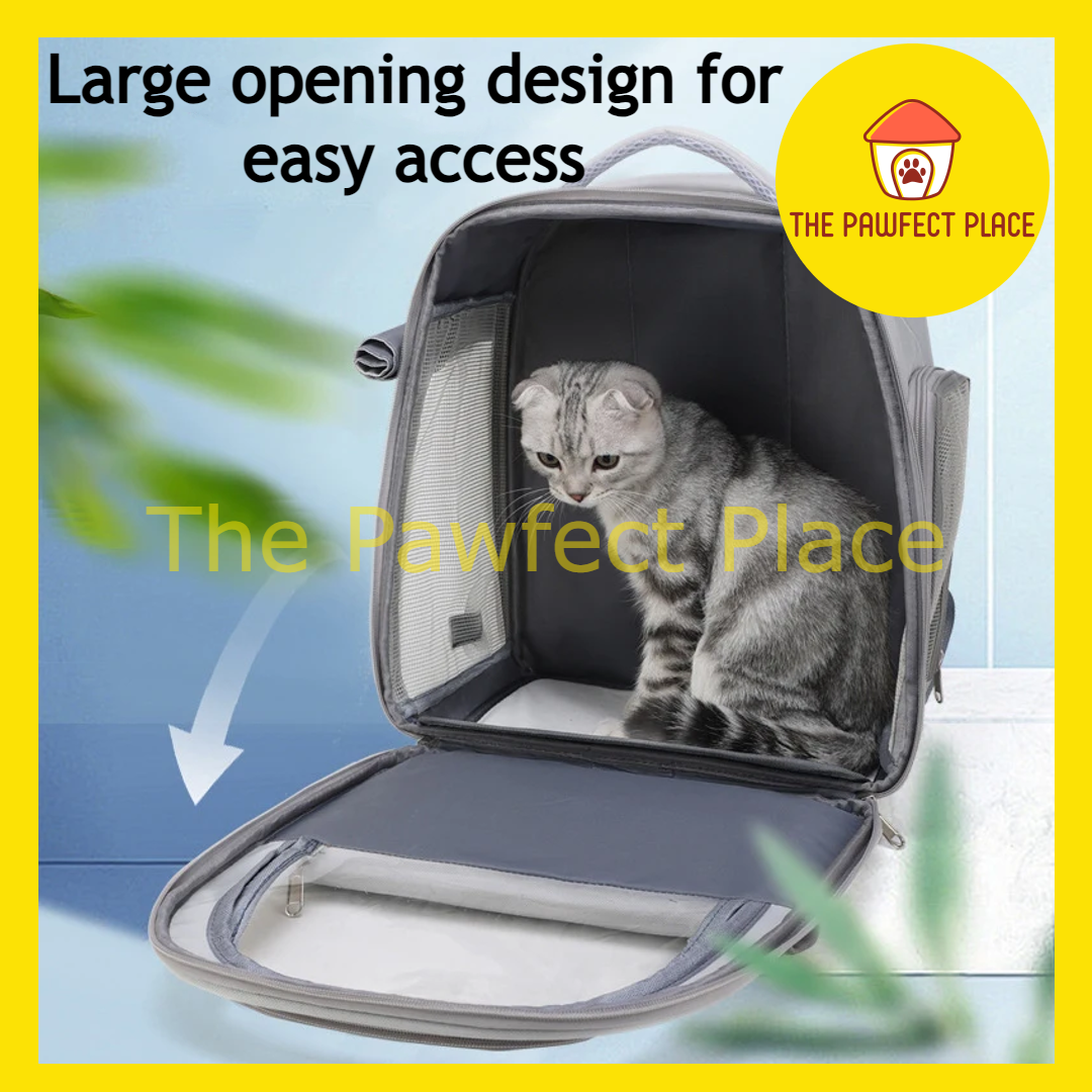 Pet Backpack Carrier Breathable Transparent Carrier for Cat Dog Small Pets Clear Foldable Cat Backpack for Travel