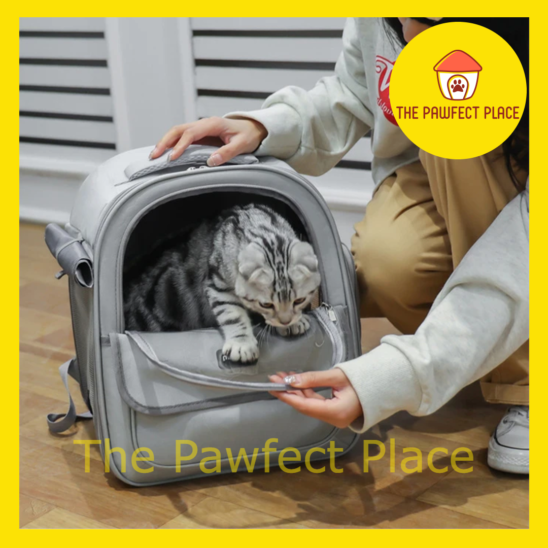 Pet Backpack Carrier Breathable Transparent Carrier for Cat Dog Small Pets Clear Foldable Cat Backpack for Travel