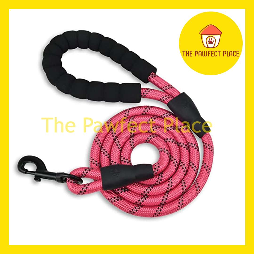 1.5m Durable Nylon Reflective Dog Leash With Comfortable Padded Handle (5' Long)