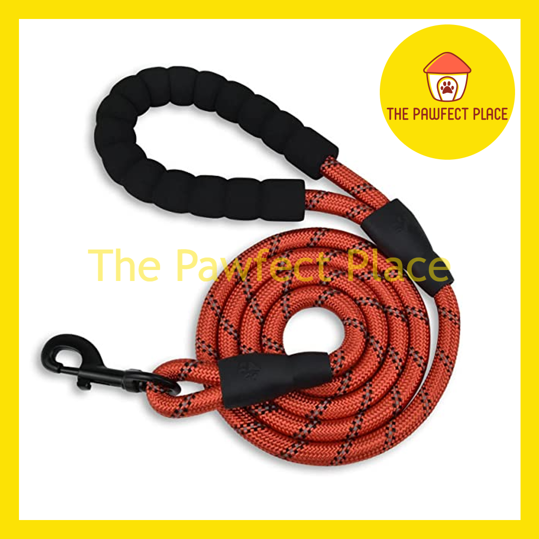 1.5m Durable Nylon Reflective Dog Leash With Comfortable Padded Handle (5' Long)