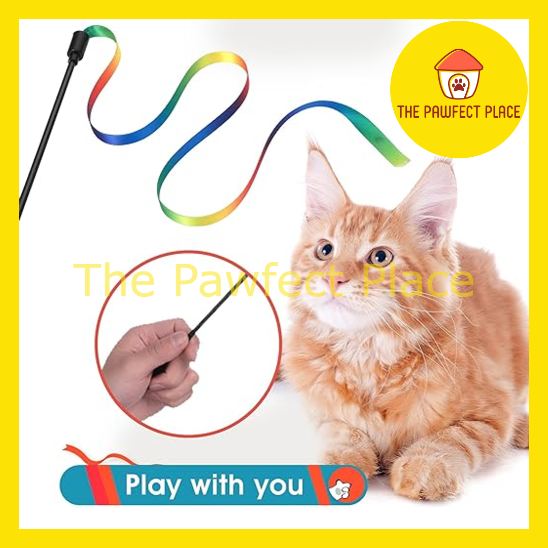 Interactive Cat Teaser with Rainbow Ribbon Wand Toys Cat Wand String Colorful Ribbon