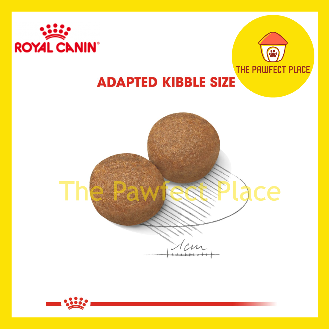 Royal Canin Maxi Adult Maxi Puppy Dog Dry Food 15kg RC Dog