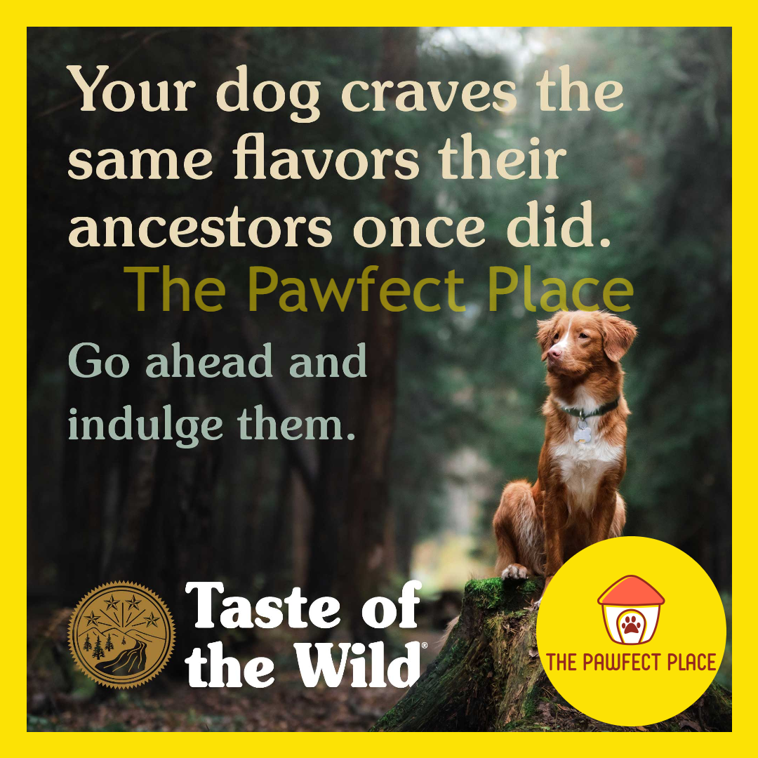 Taste of the Wild 1.5kg / 2KG Dry Dog Food TOTW (Lamb / Fowl / Salmon / Venison / Puppy)