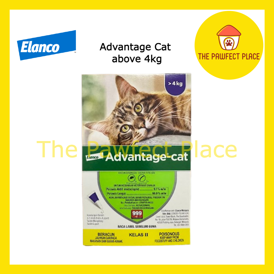 Bayer Advantage Cat Spot On Flea Treament Ubat Kutu Kucing Elanco