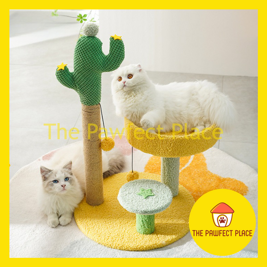 67cm Cute Green Cactus Cat Tree Tower with Scratching Post Climbing Stand with Dangling Ball