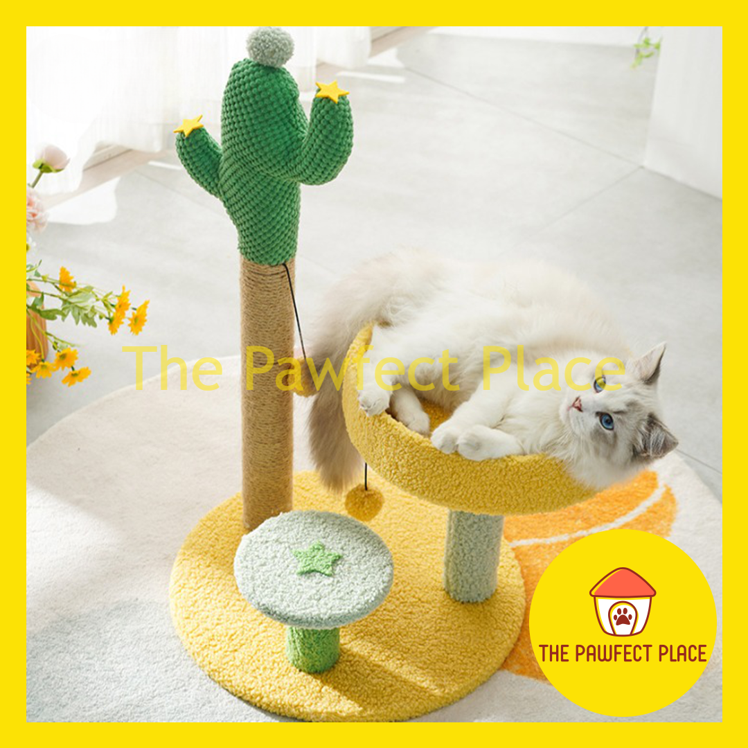 67cm Cute Green Cactus Cat Tree Tower with Scratching Post Climbing Stand with Dangling Ball