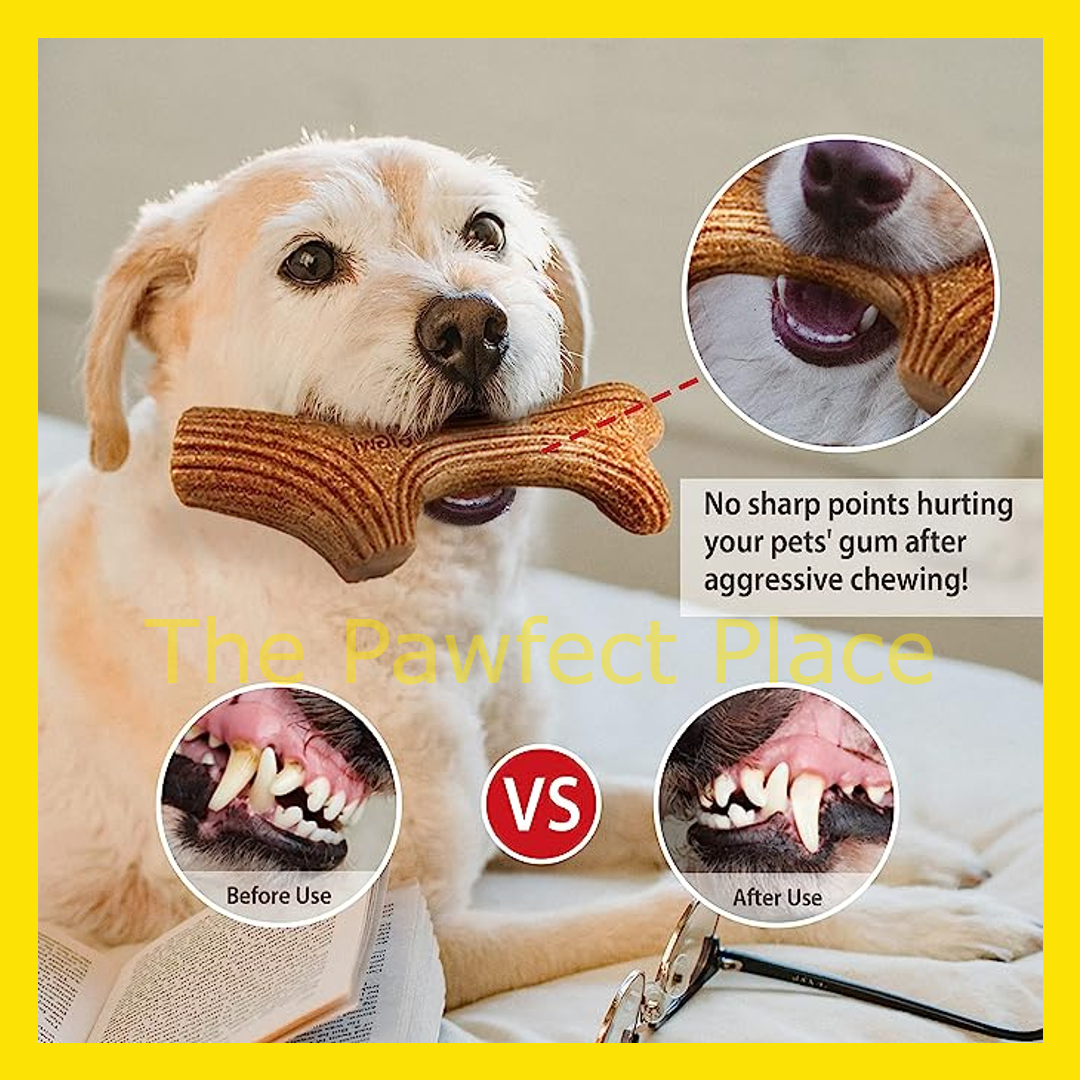 GiGwi Dog Toy Dog Bite Wooden Antler with Wooden Fiber Eco-friendly Product Molar Wooden Stick