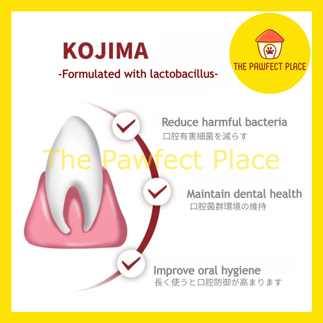 Japan Kojima Cat Dog Optimal Health Teeth Cleaning Tools / Pet Toothbrush / Pet Toothpaste