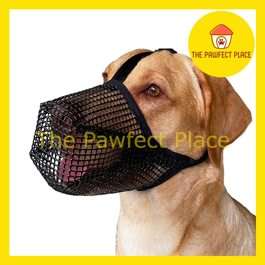 Dog Muzzle Soft Mesh Dog Mouth Cover with Adjustable Strap for Grooming  Biting Chewing Barking Training
