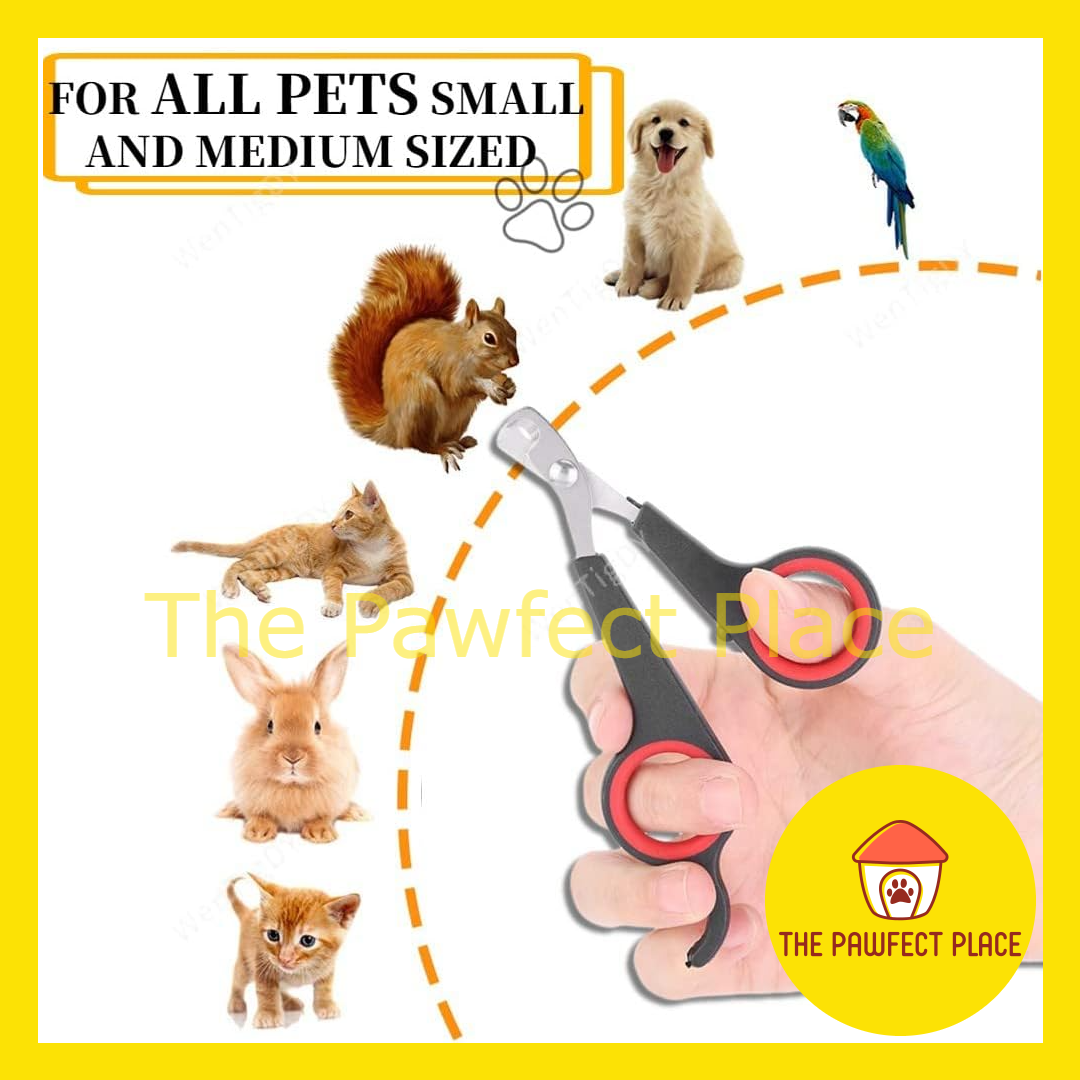 Pet Nail Clipper Random Color Nail Clipper Cat Dog Rabbit Parrot Bird Nail Clipper