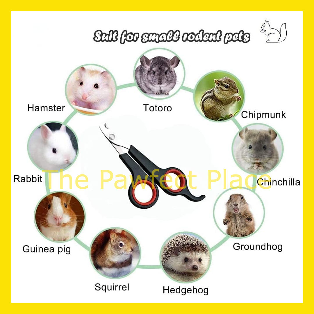 Pet Nail Clipper Random Color Nail Clipper Cat Dog Rabbit Parrot Bird Nail Clipper