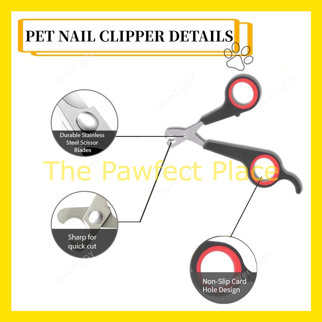 Pet Nail Clipper Random Color Nail Clipper Cat Dog Rabbit Parrot Bird Nail Clipper