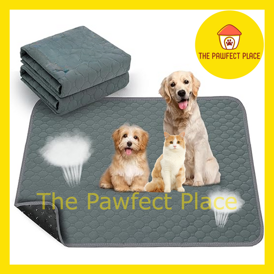 Reusable Washable Wee Pee Pads Dog Cat Waterproof Potty Training Pee Pad Training Pad Absorbent Non Slip