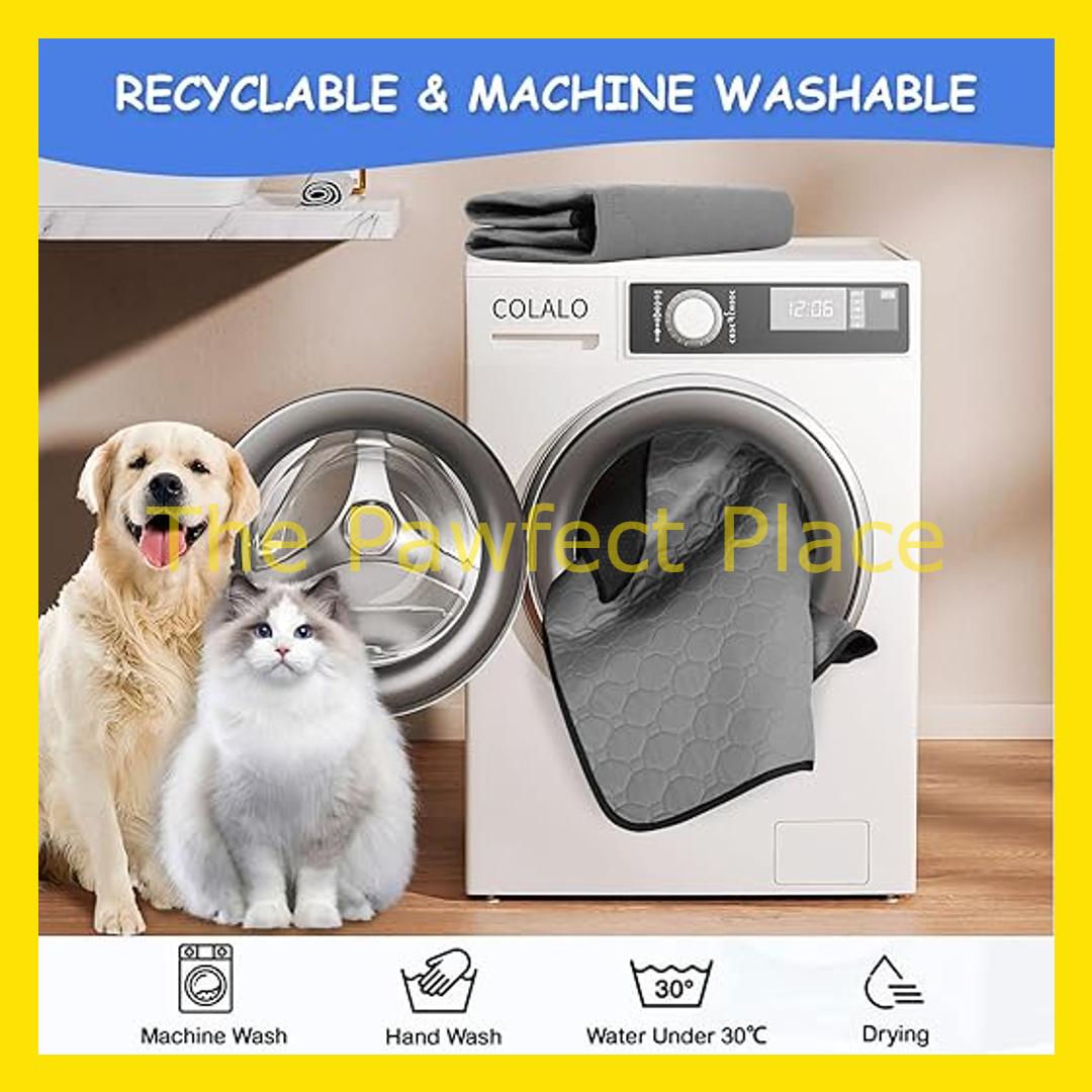 Reusable Washable Wee Pee Pads Dog Cat Waterproof Potty Training Pee Pad Training Pad Absorbent Non Slip