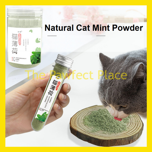 Natural Catnip Mint Powder Treat Grass 50ml Powder Pudina Kucing