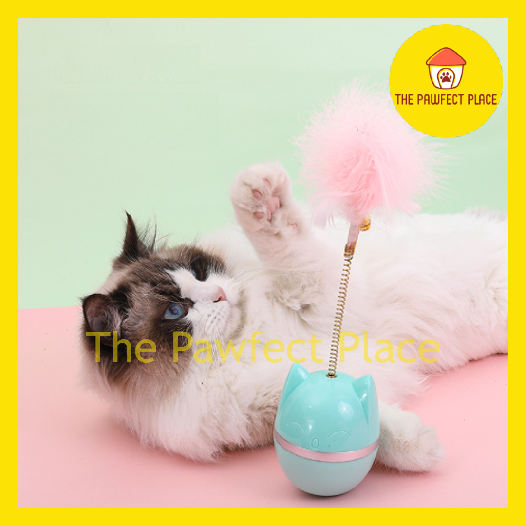 Cat Tumbler Chaser Toy Self Entertain Interactive Unstoppable Teaser Toy Kitten Spring Design