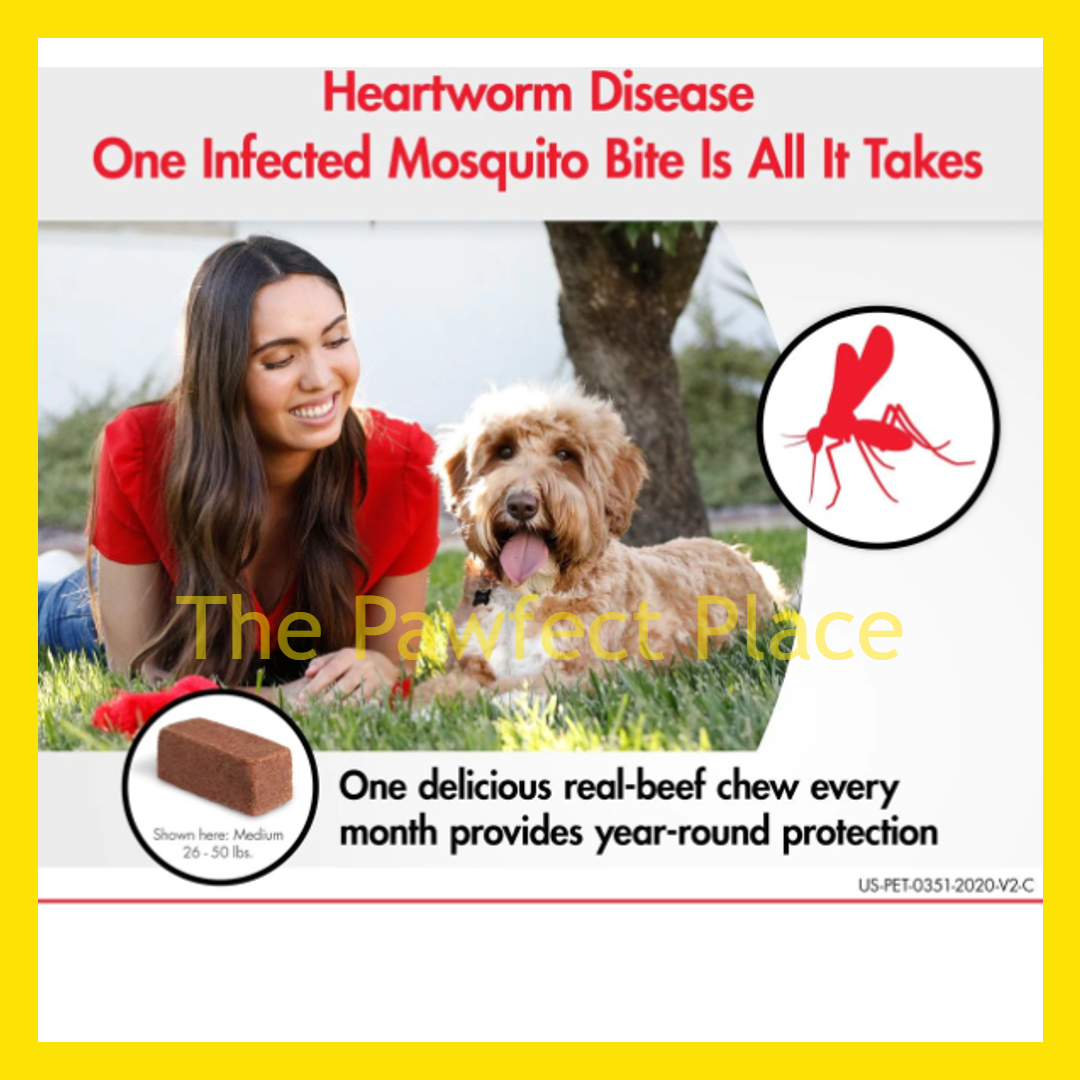 HeartGard Plus Chewables Tablets Heartworms Prevention Heart Disease Beef Favoured