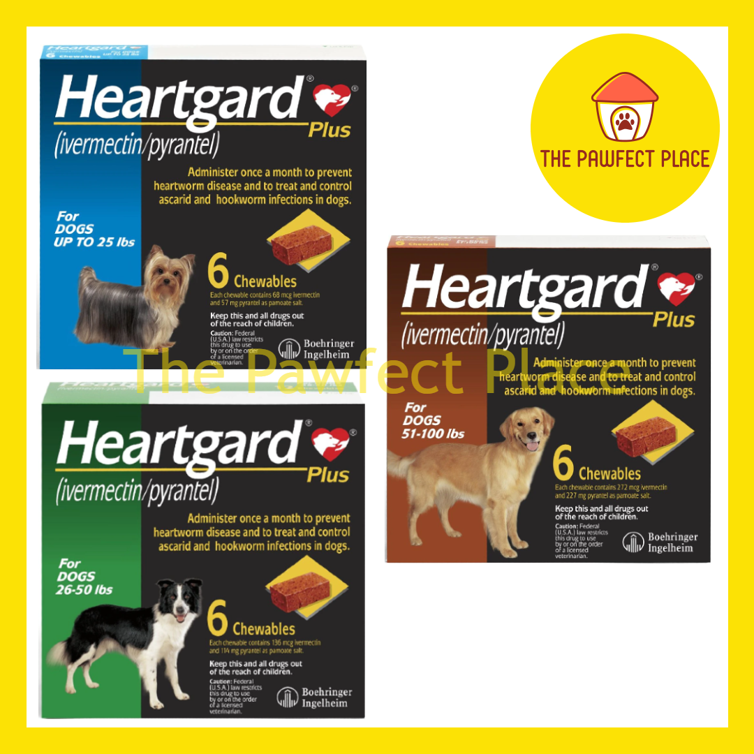 HeartGard Plus Chewables Tablets Heartworms Prevention Heart Disease Beef Favoured