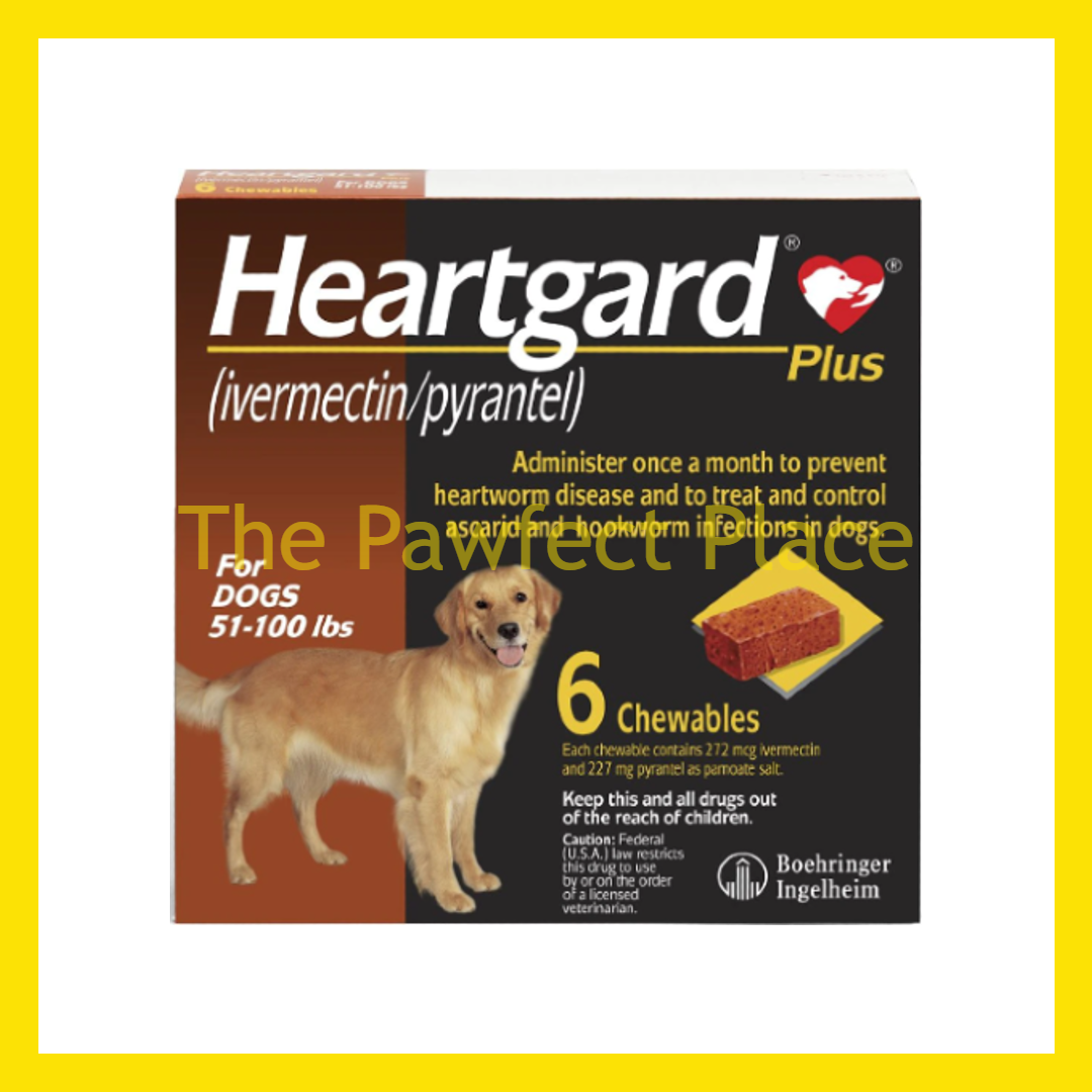 HeartGard Plus Chewables Tablets Heartworms Prevention Heart Disease Beef Favoured