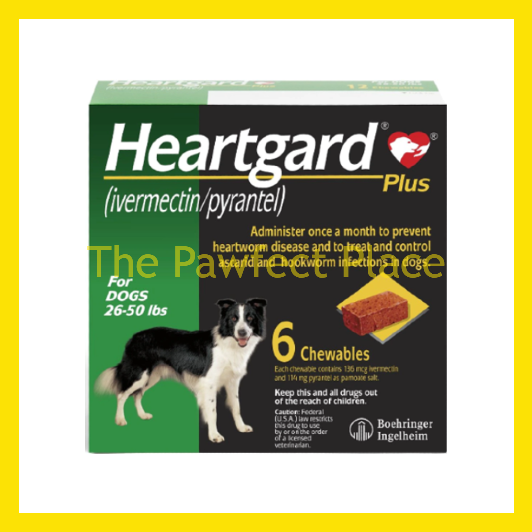 HeartGard Plus Chewables Tablets Heartworms Prevention Heart Disease Beef Favoured