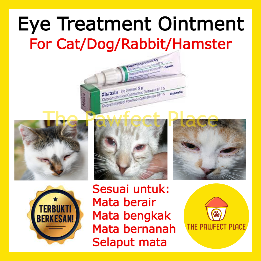 Ubat Mata Sakit Mata Untuk Kucing & Anjing - Cat/Dog Eye Treatment Ointment infection (5g) - EXP: 2024