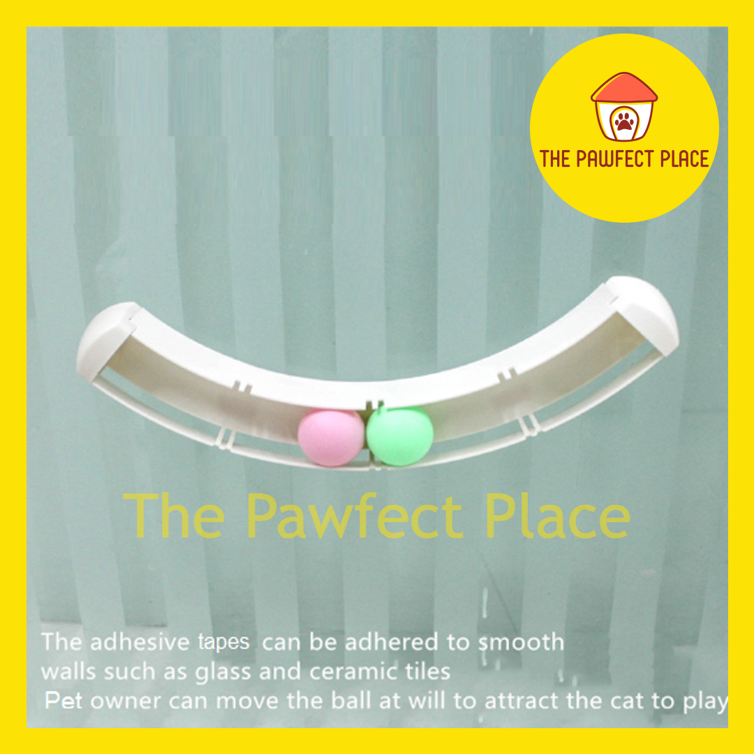 Track & Roll Interactive Cat Toy Adhesive Tape Cat Toys Tunnel Ball Pets Wall Window Mount Track Roll