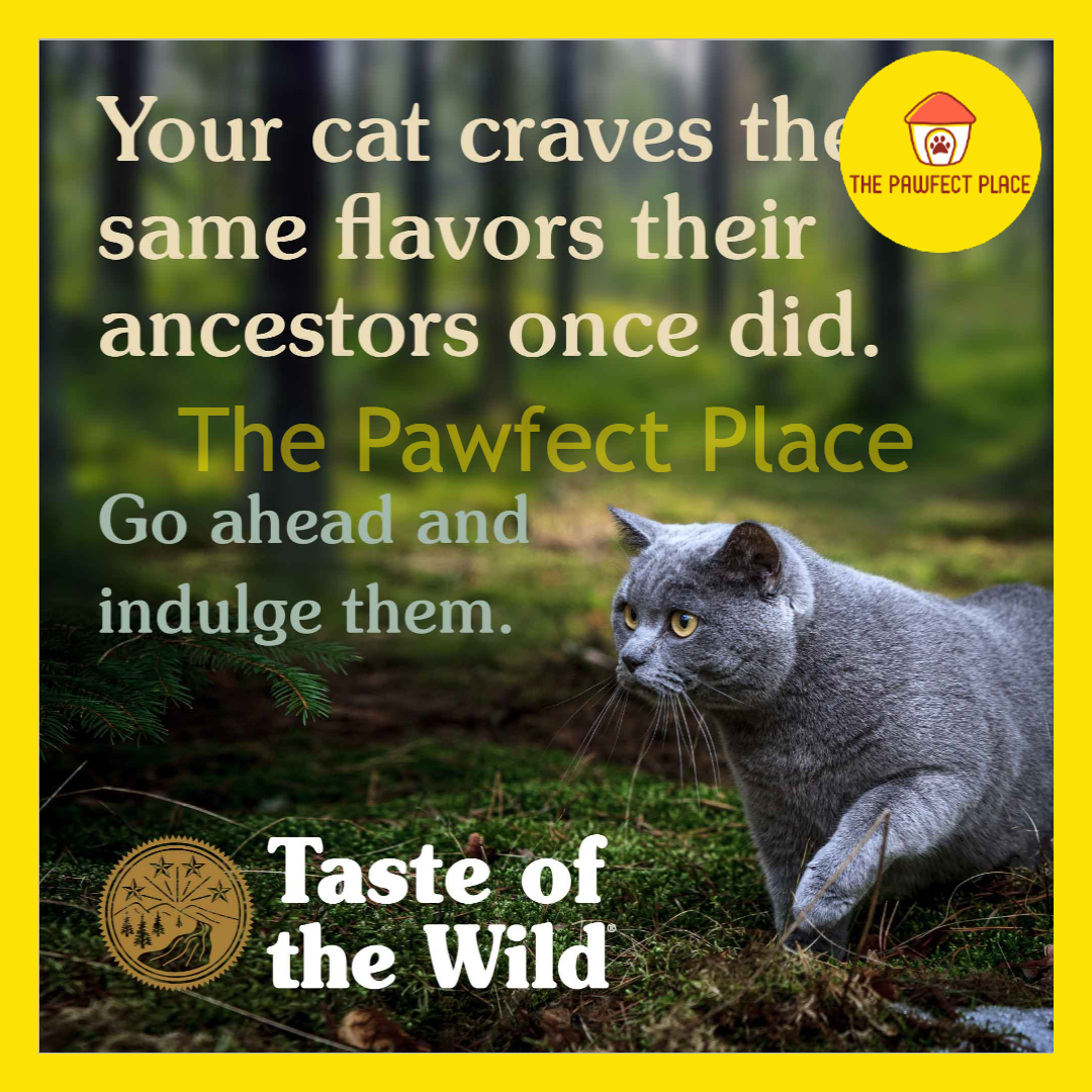 Taste Of The Wild Cat Food 2kg Repack 1kg 100% Original Rocky Mountain Canyon River Makanan Kucing Dryfood TOTW