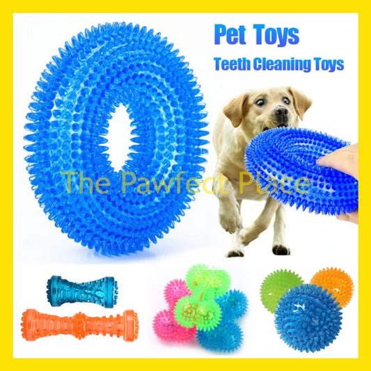 TPR Nature Rubber Pet Spiky Squeaky Chew Toy for Training Fetching Teething Donut Ball Stick Shape