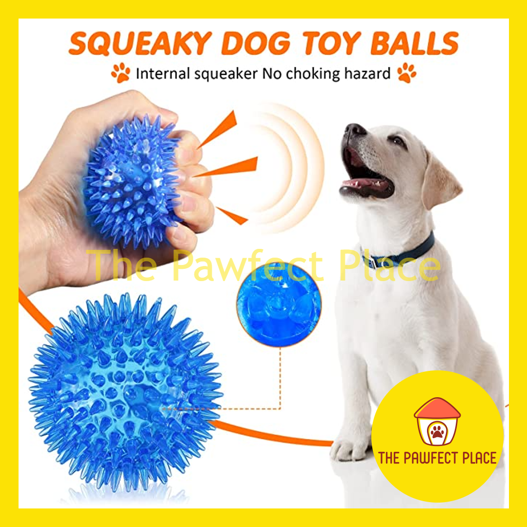 TPR Nature Rubber Pet Spiky Squeaky Chew Toy for Training Fetching Teething Donut Ball Stick Shape