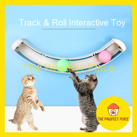 Track & Roll Interactive Cat Toy Adhesive Tape Cat Toys Tunnel Ball Pets Wall Window Mount Track Roll