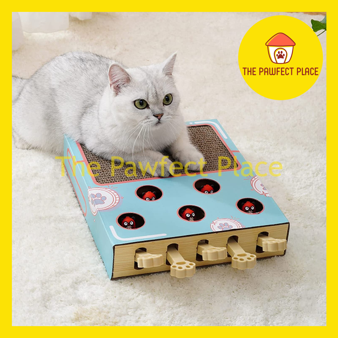 Whack-A-Mole Pet Cat Interactive Toy Wooden Solid Wood Enrichment Toys Kitten Catch Mice Game Scratching pad