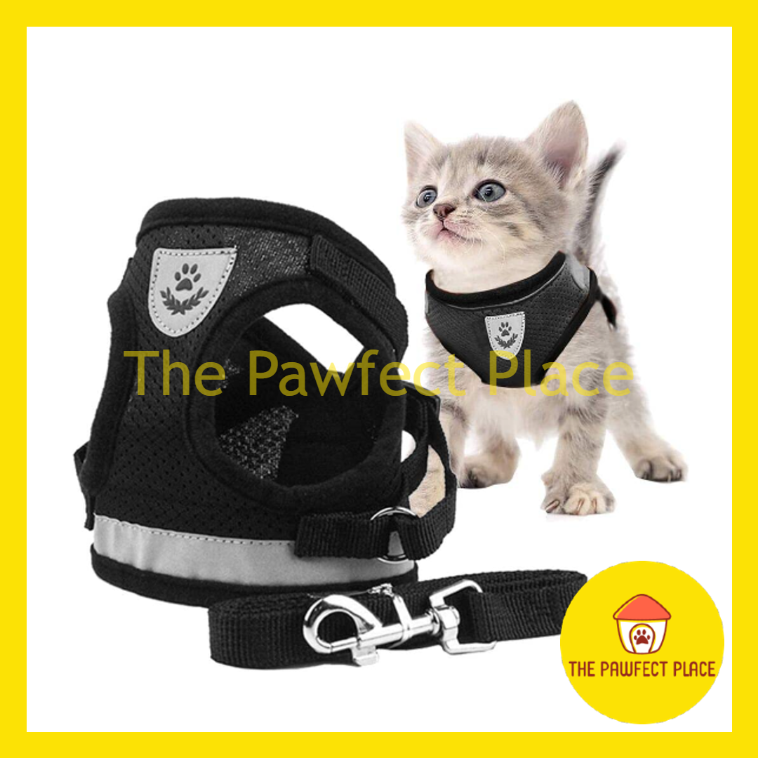 Pet Soft Adjustable Reflective Strips Vest XS to XL Mesh Harness With 120cm Leash Set For Cat Dog Rabbit