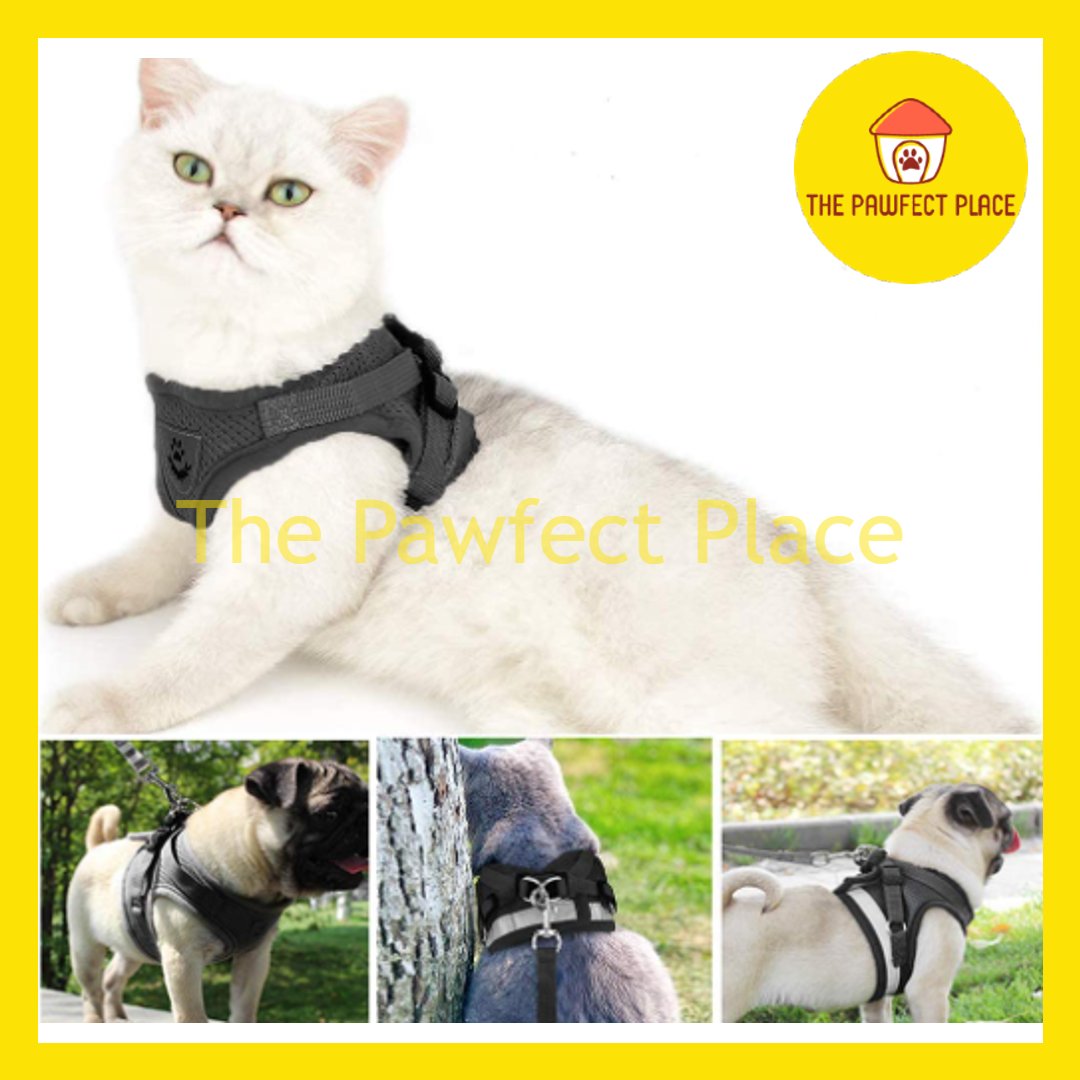 Pet Soft Adjustable Reflective Strips Vest XS to XL Mesh Harness With 120cm Leash Set For Cat Dog Rabbit